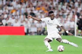 的主教练安 的主教练安